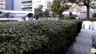 莲怡园一区⭕❌❌⭕久久久久国产成人精品亚洲午夜,成人免费毛片一区二区三区,国产成人久久精品激情91,国产成人无码精品久久久免费
